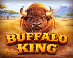 buffalo king