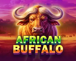 african buffalo